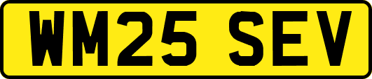 WM25SEV