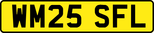 WM25SFL