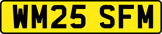 WM25SFM