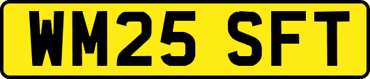 WM25SFT