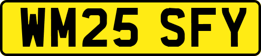 WM25SFY