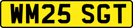 WM25SGT