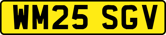 WM25SGV