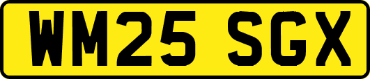 WM25SGX
