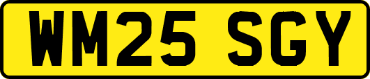 WM25SGY