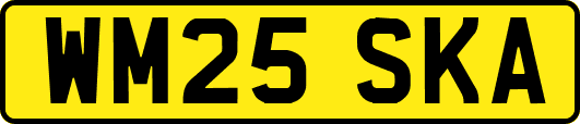 WM25SKA