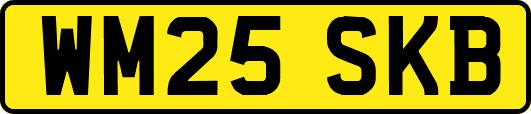 WM25SKB