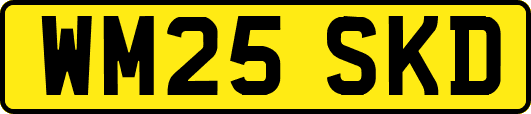 WM25SKD