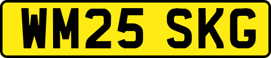 WM25SKG