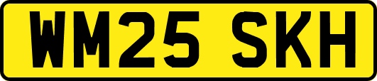 WM25SKH