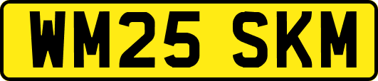 WM25SKM