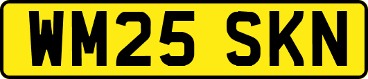 WM25SKN