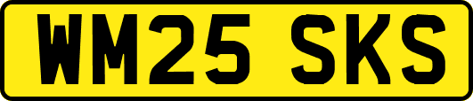 WM25SKS