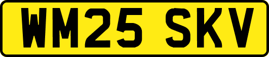 WM25SKV