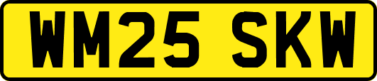 WM25SKW