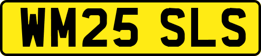 WM25SLS