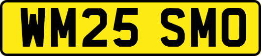 WM25SMO