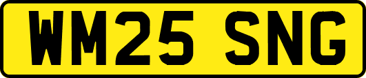 WM25SNG