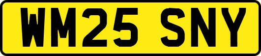 WM25SNY