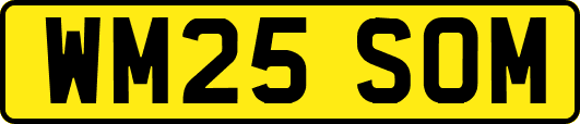 WM25SOM