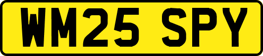 WM25SPY