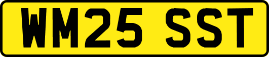 WM25SST