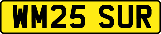 WM25SUR