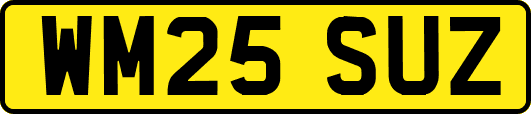 WM25SUZ