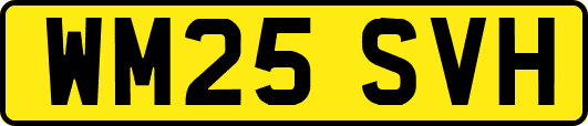WM25SVH
