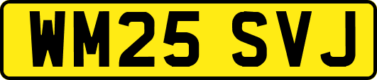 WM25SVJ
