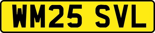 WM25SVL