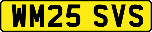 WM25SVS