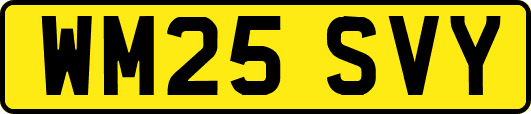 WM25SVY