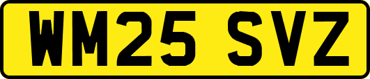 WM25SVZ