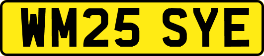 WM25SYE