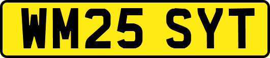 WM25SYT