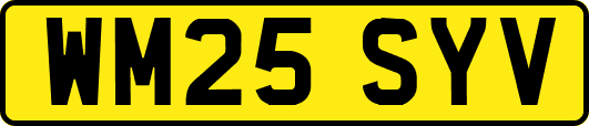 WM25SYV