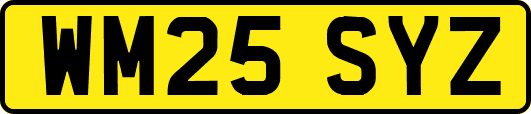WM25SYZ