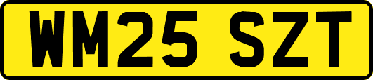 WM25SZT
