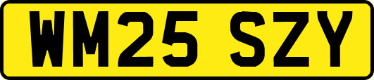 WM25SZY