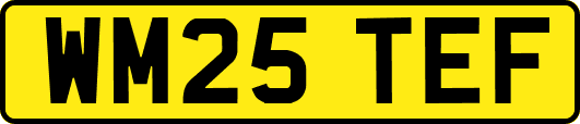 WM25TEF