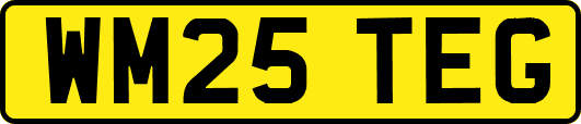 WM25TEG