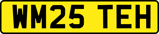 WM25TEH