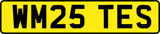WM25TES