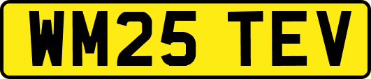 WM25TEV