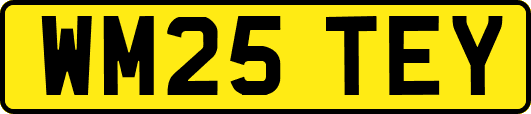 WM25TEY