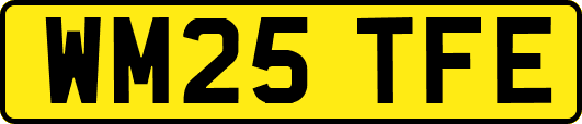 WM25TFE