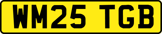 WM25TGB