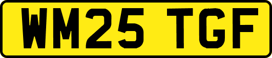 WM25TGF