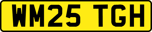 WM25TGH